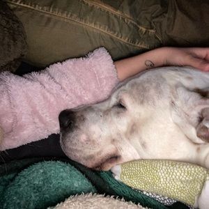 Meet your Posher, Anncya